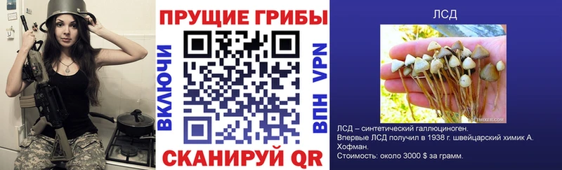 наркота  Чердынь  Галлюциногенные грибы Psilocybe 