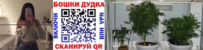 Канабис Amnesia  даркнет телеграм  Чердынь  мега маркетплейс 